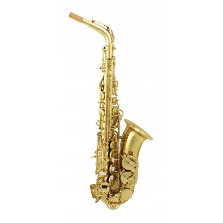 Saxophone alto Trevor James SR Evo